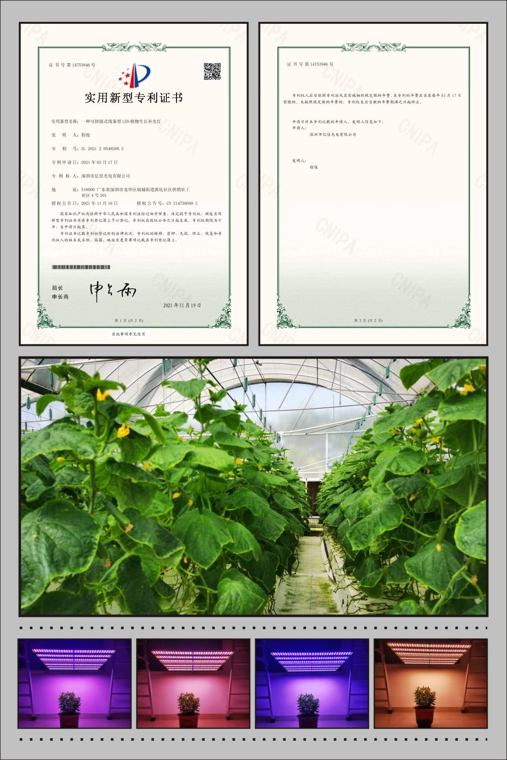 金狮贵宾会植物农场灯实用新型专利