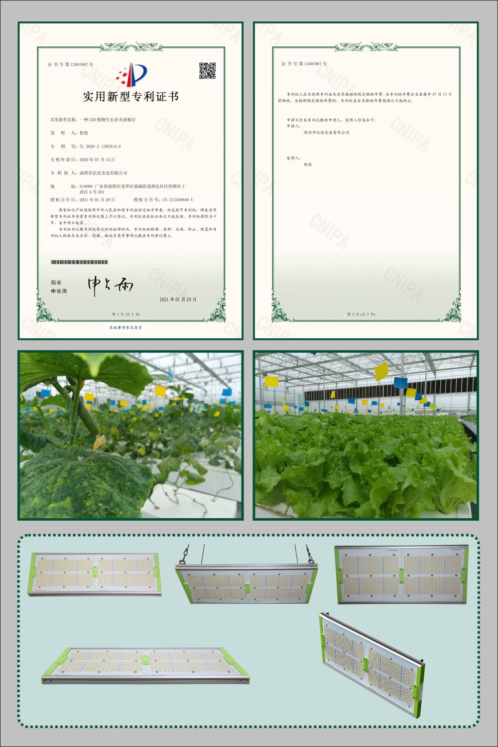 金狮贵宾会植物成长面板灯实用新型专利